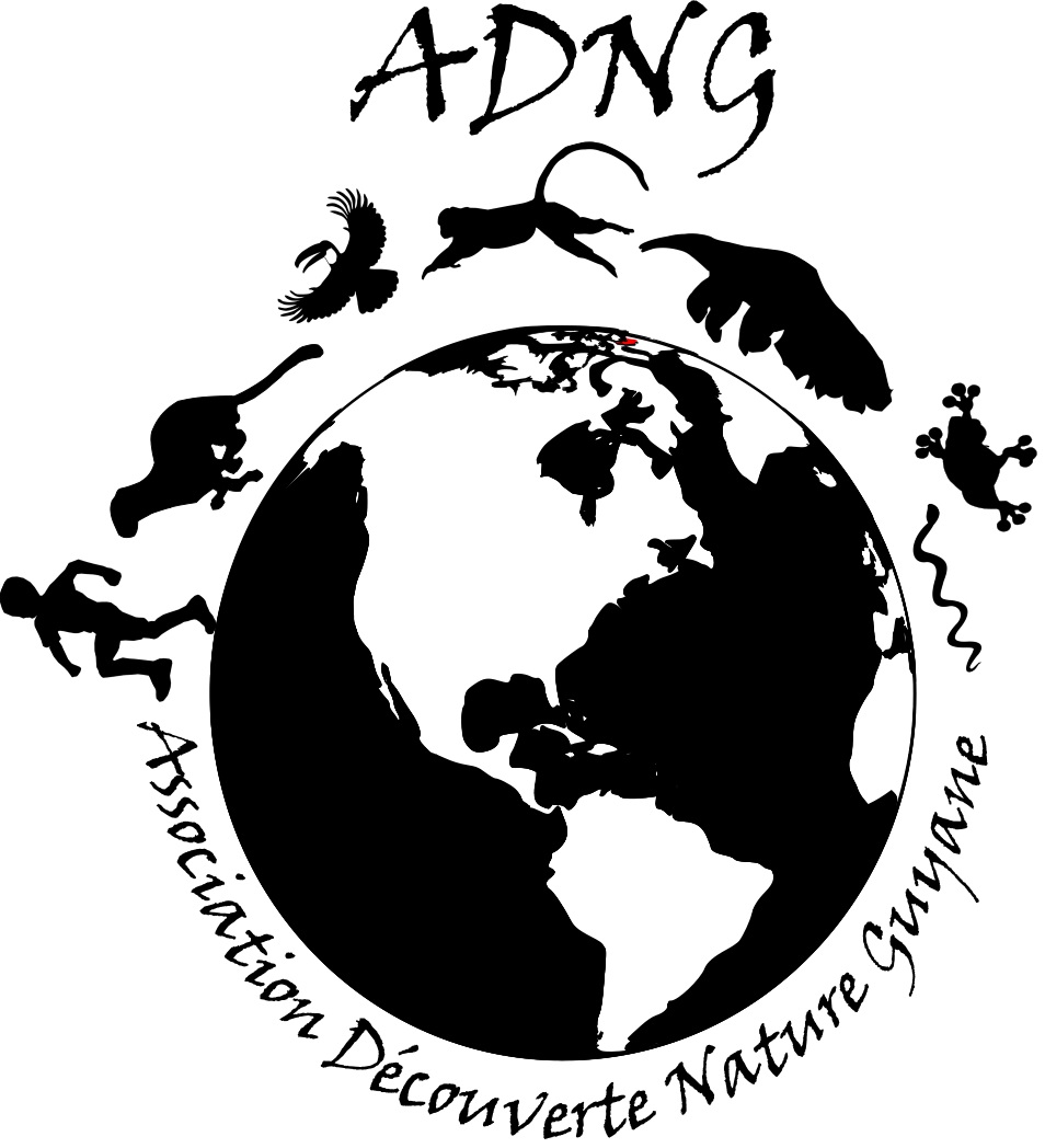 ADNG