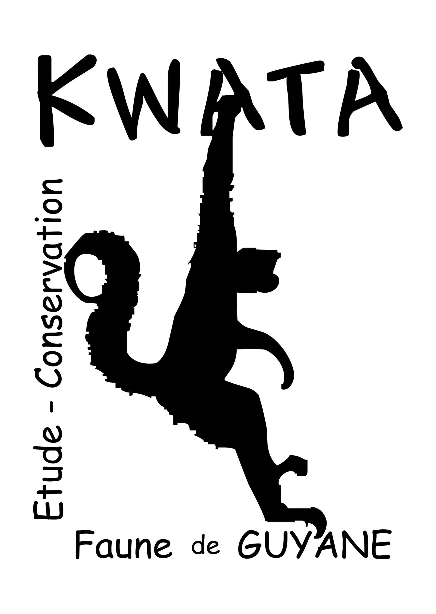 Kwata 300dpi compressor