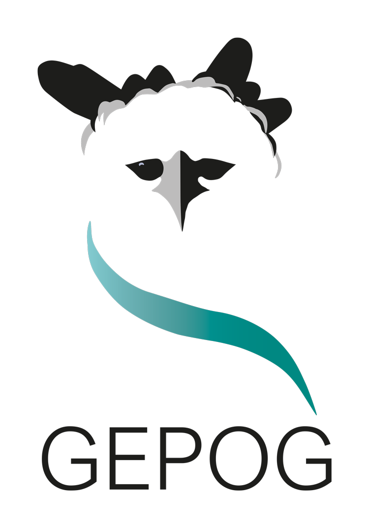 Logo GEPOG 2021