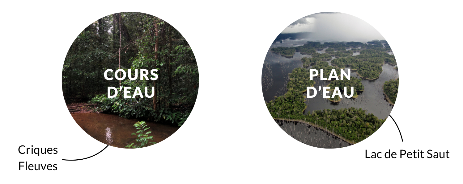 les deux types de masses d'eau de surface continentales