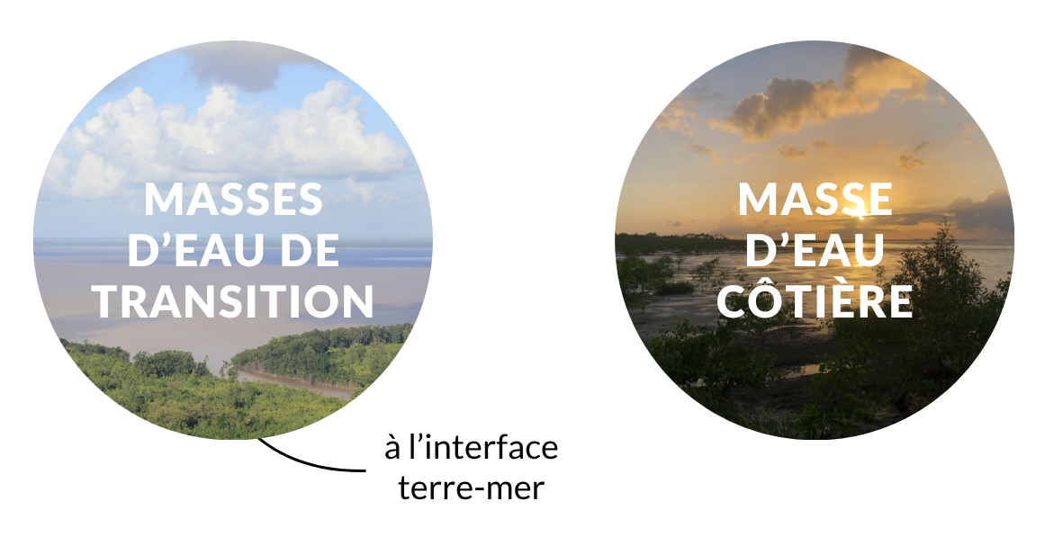 les deux types de masses d'eau de surface littorales