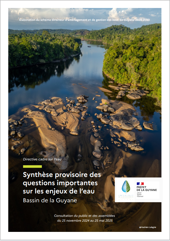 Synthese provisoire des questions importantes